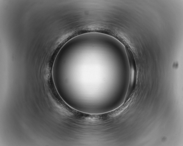 X0000099570164200805161525