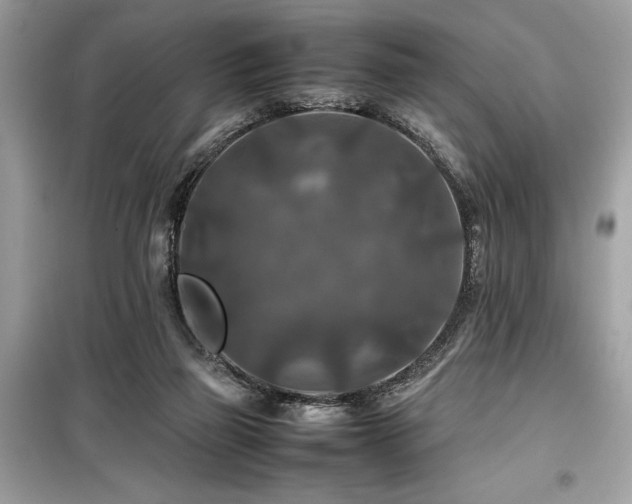 X0000099570165200805161525