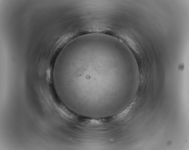 X0000099570166200805161525