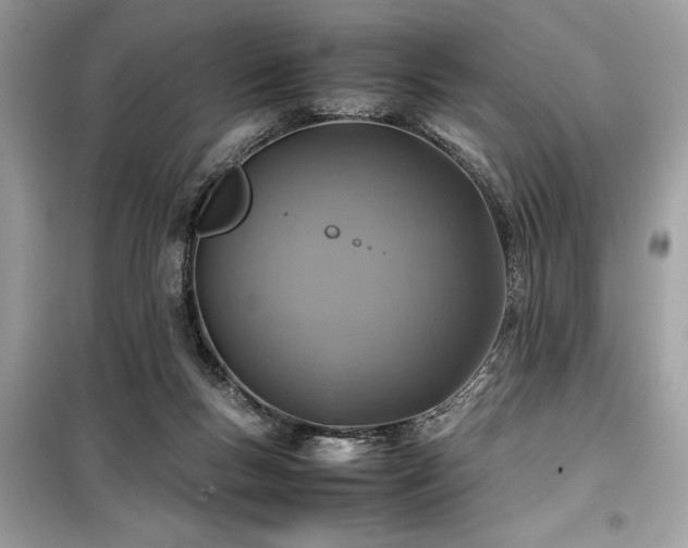 X0000099570167200805161525