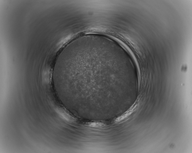 X0000099570168200805161525