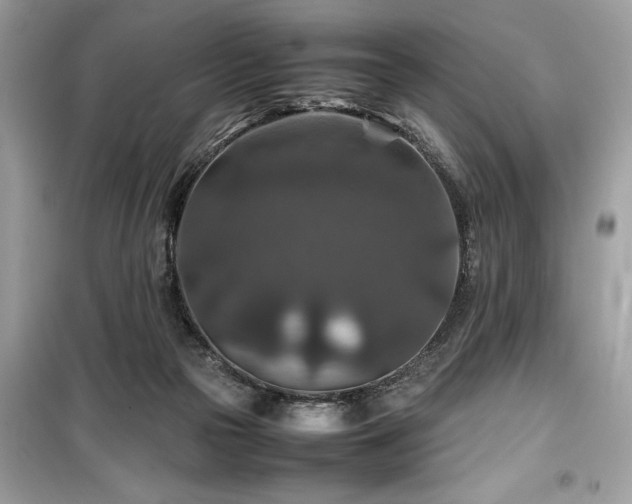 X0000099570169200805161525