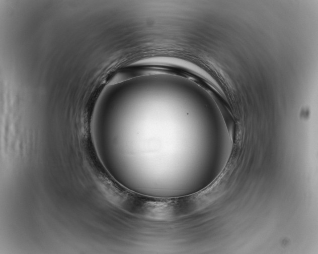 X0000099570170200805161525