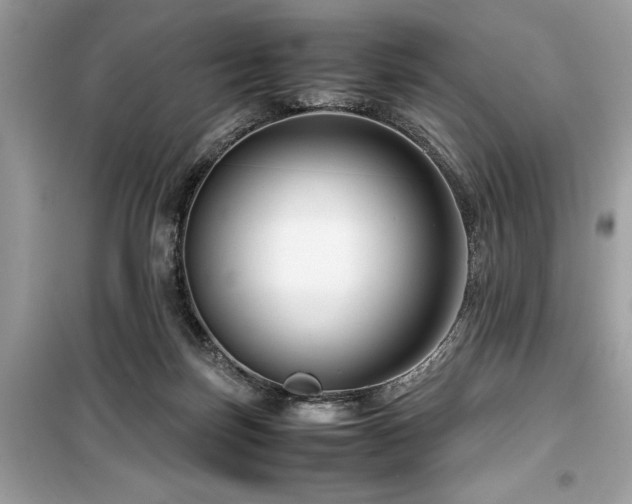 X0000099570171200805161525