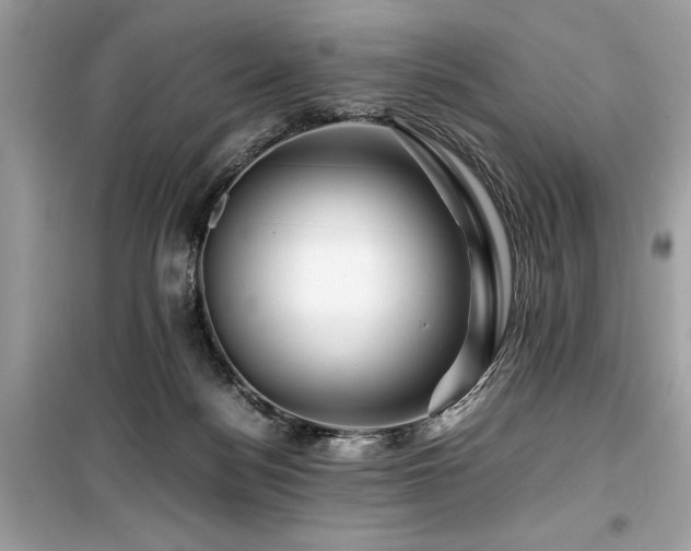 X0000099570172200805161525