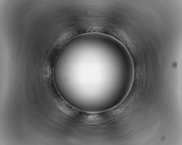 X0000099570173200805161525