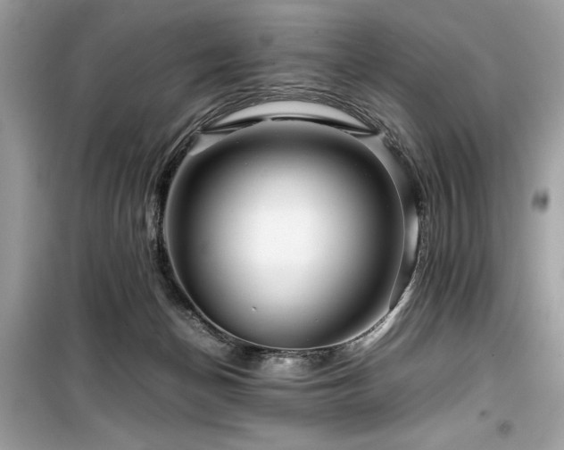 X0000099570174200805161525