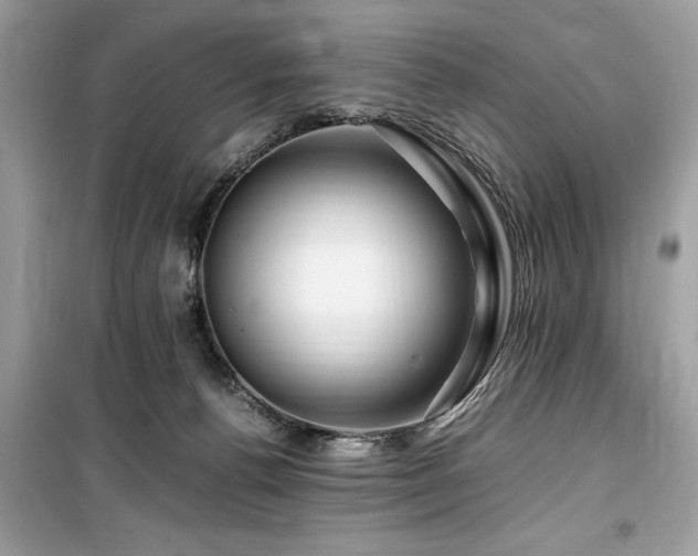 X0000099570176200805161525