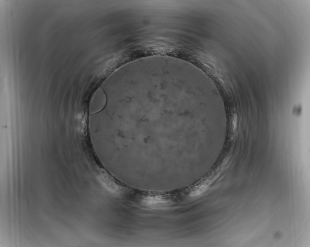 X0000099570177200805161525