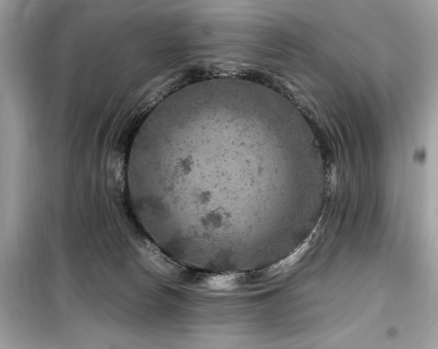 X0000099570178200805161525