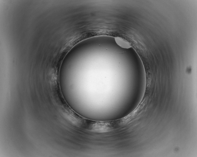 X0000099570179200805161525