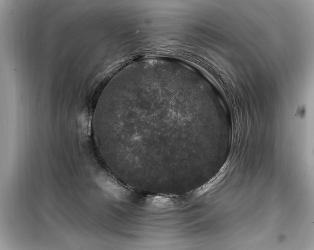 X0000099570180200805161525