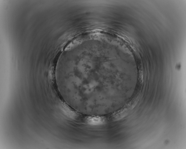 X0000099570181200805161525