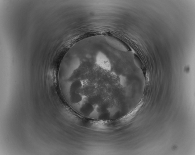 X0000099570182200805161525