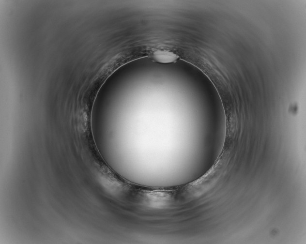 X0000099570183200805161525