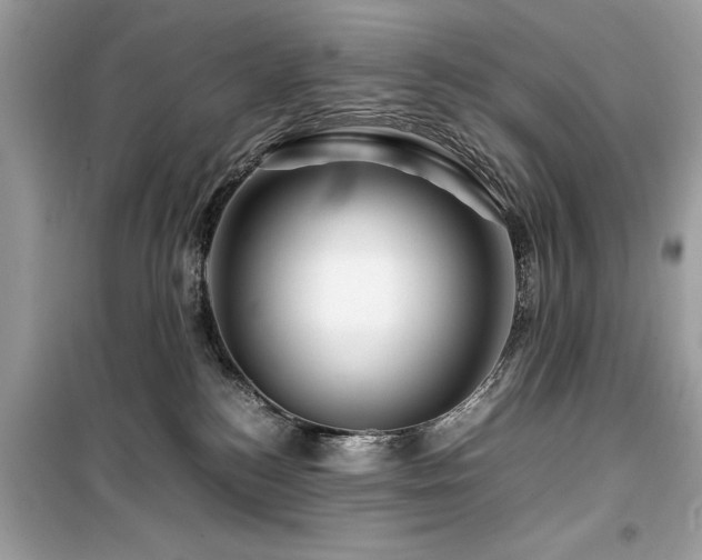 X0000099570184200805161525