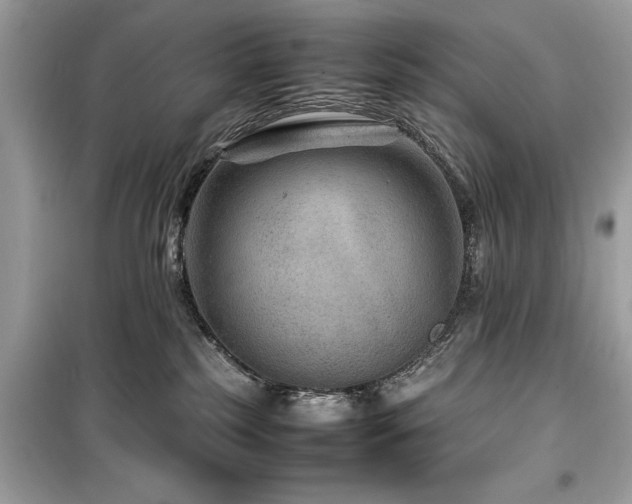 X0000099570185200805161525