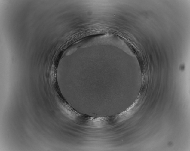 X0000099570186200805161525