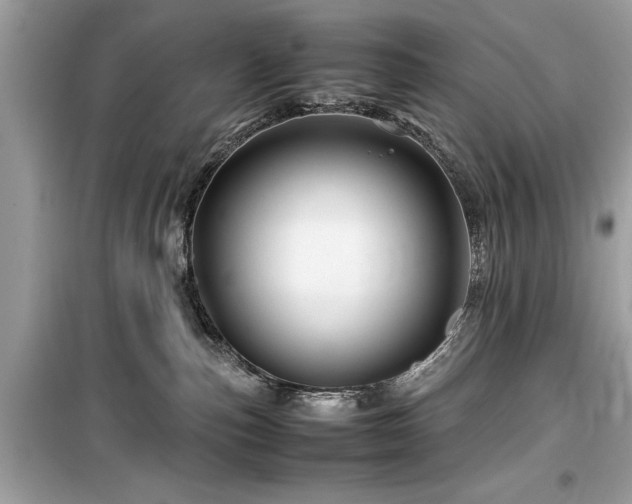 X0000099570187200805161525