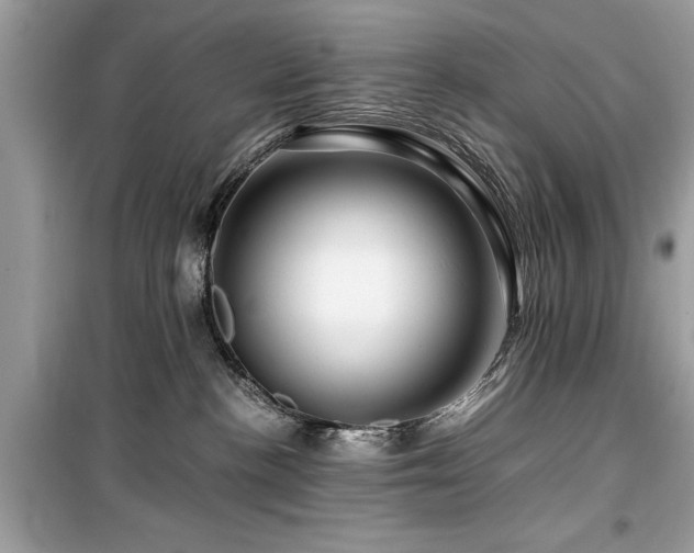 X0000099570188200805161525