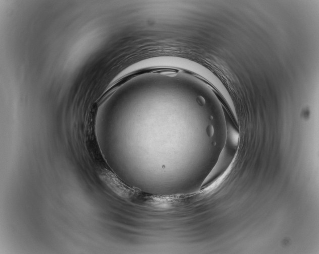 X0000099570190200805161525