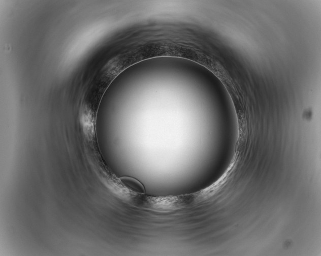 X0000099570191200805161525