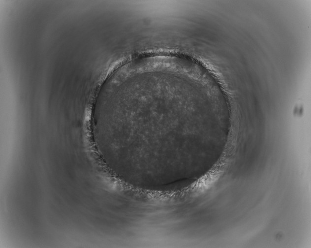 X0000099570192200805161525