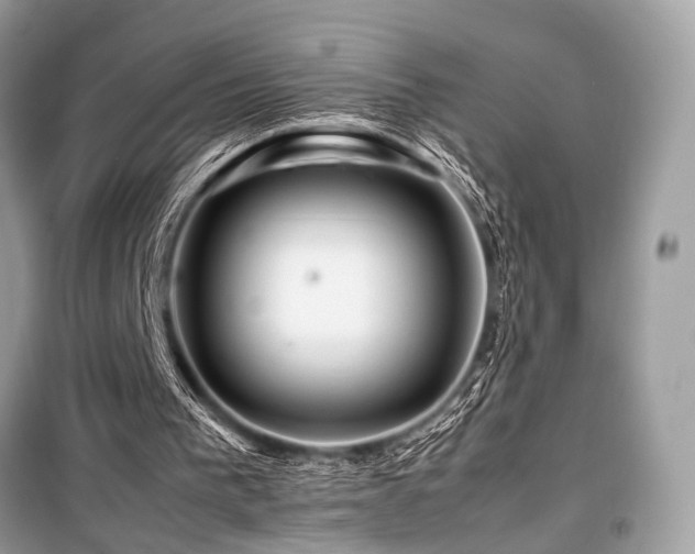 X0000099570193200805161525