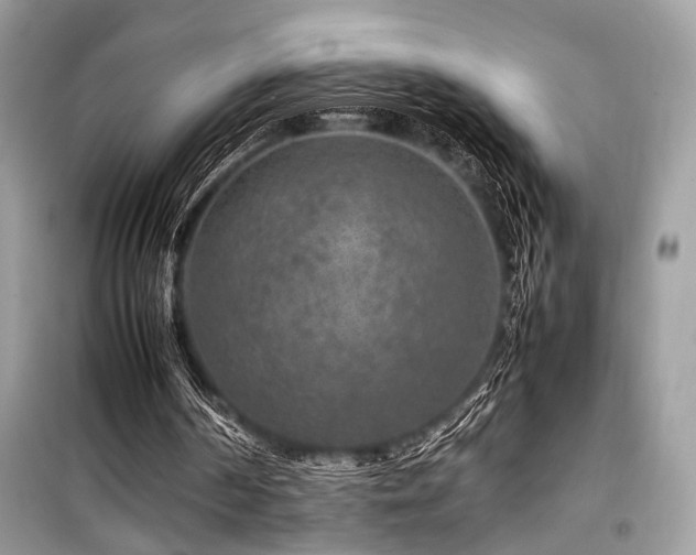 X0000099570194200805161525