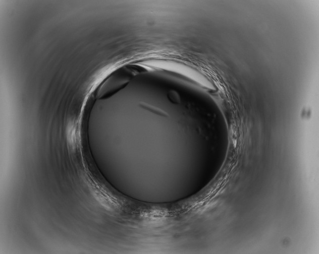 X0000099570196200805161525