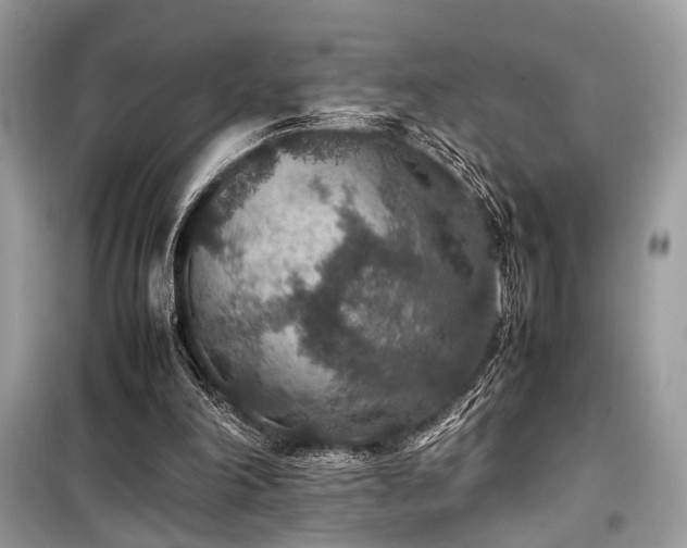 X0000099570198200805161525