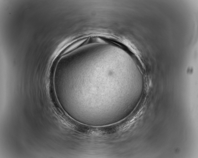 X0000099570199200805161524