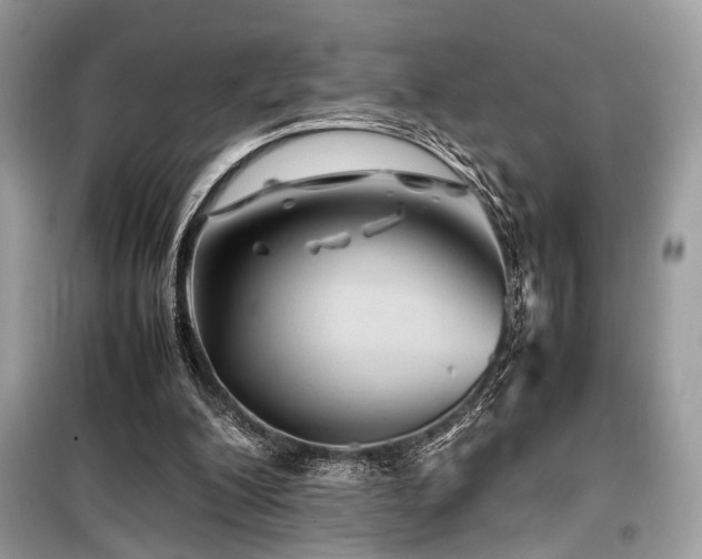 X0000099570200200805161524