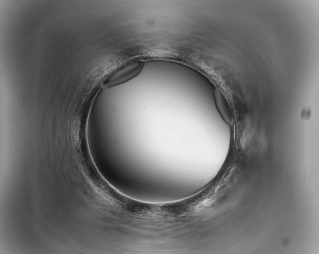 X0000099570201200805161524