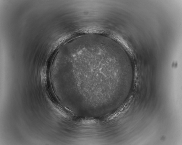 X0000099570202200805161524