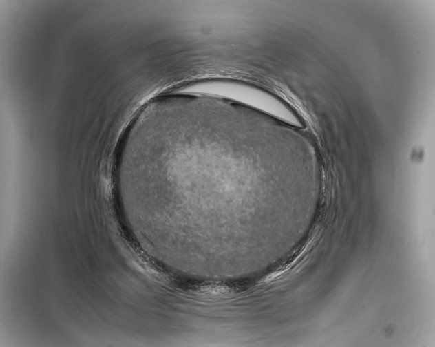 X0000099570203200805161524