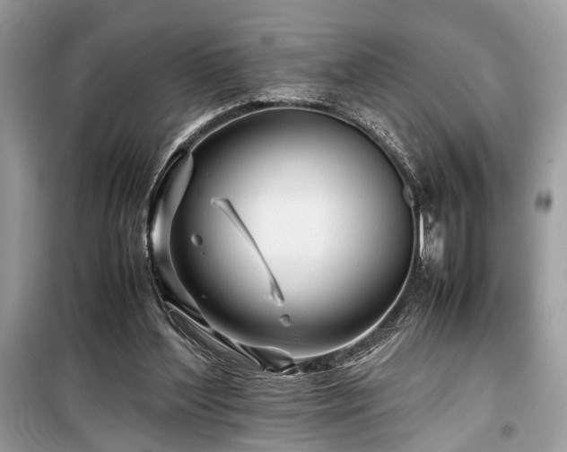 X0000099570204200805161524