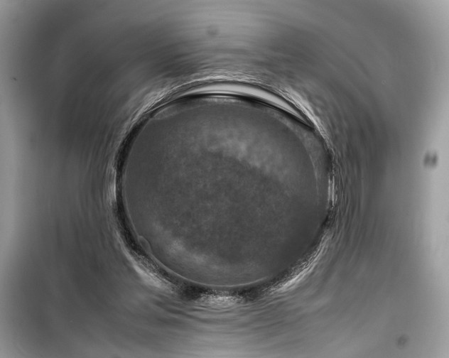 X0000099570205200805161524