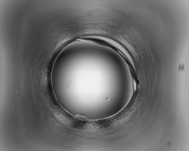 X0000099570207200805161524