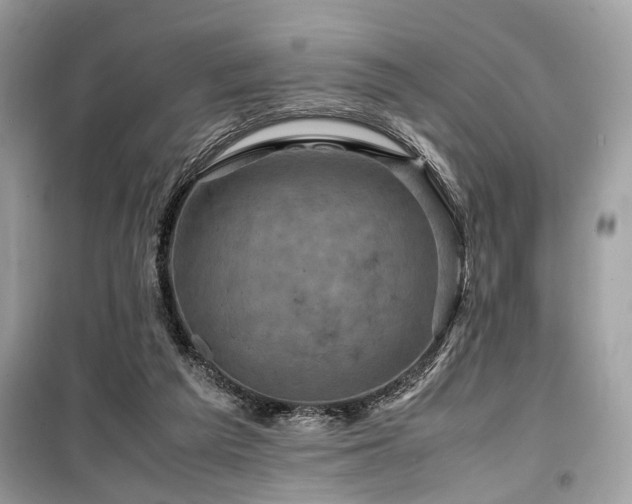 X0000099570209200805161524