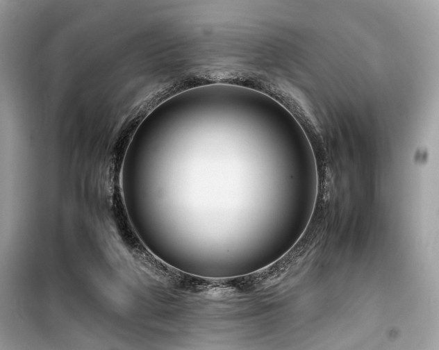 X0000099570210200805161524