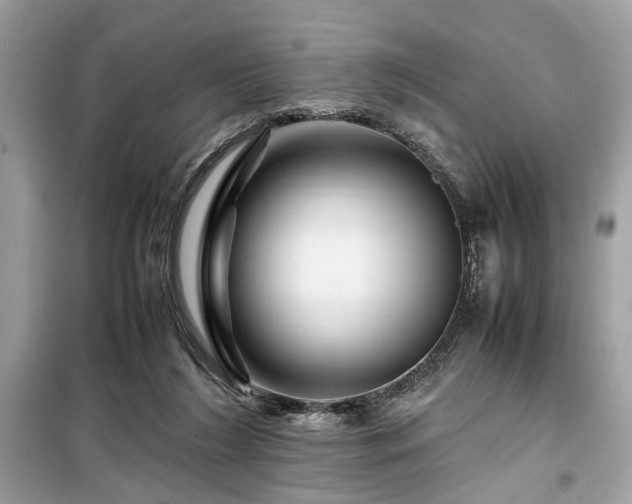 X0000099570212200805161524