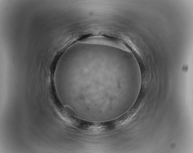 X0000099570213200805161524