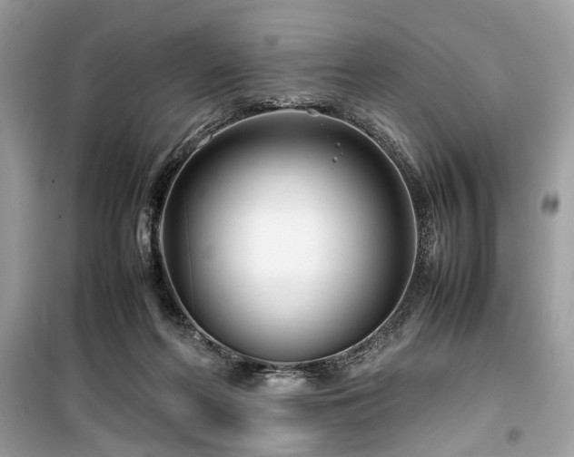 X0000099570214200805161524