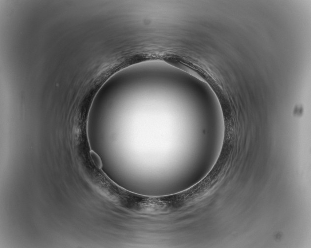 X0000099570215200805161524