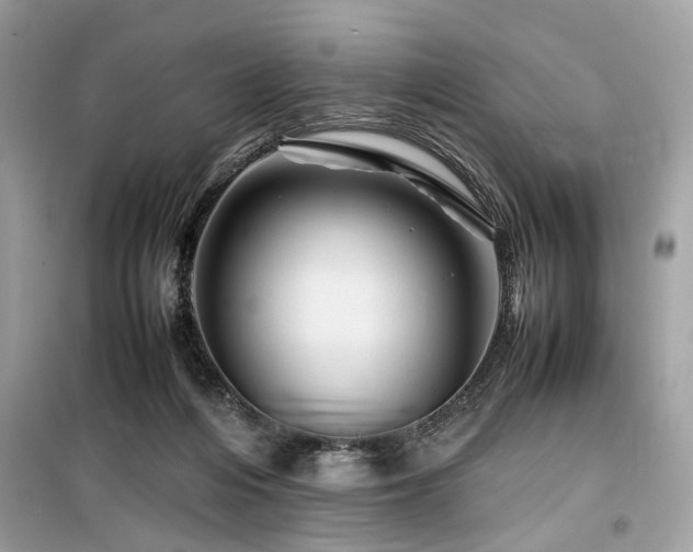 X0000099570216200805161524