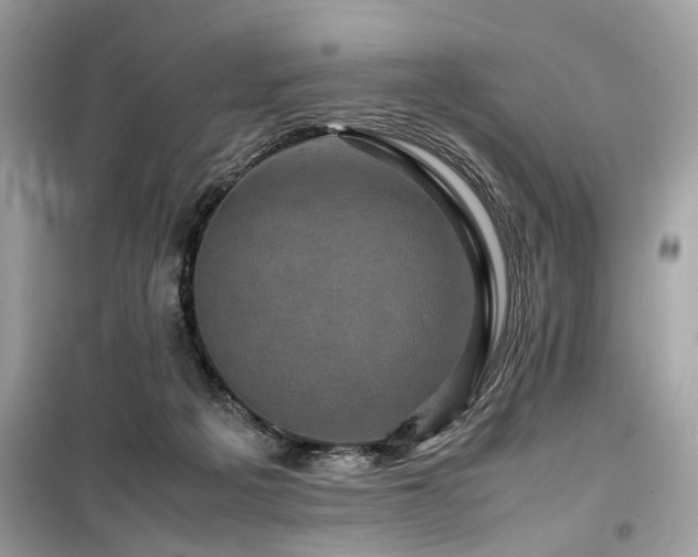 X0000099570217200805161524