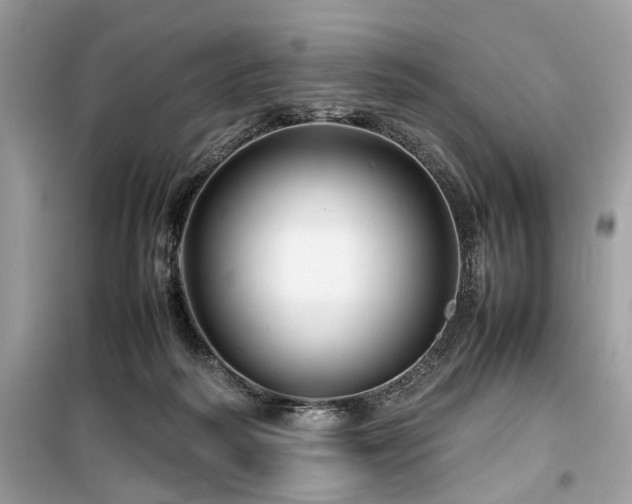 X0000099570218200805161524