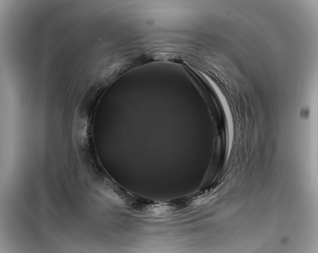 X0000099570219200805161524