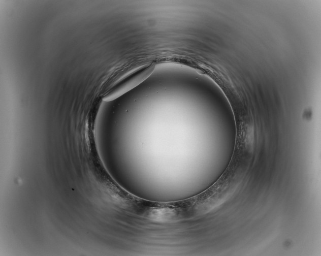 X0000099570220200805161524